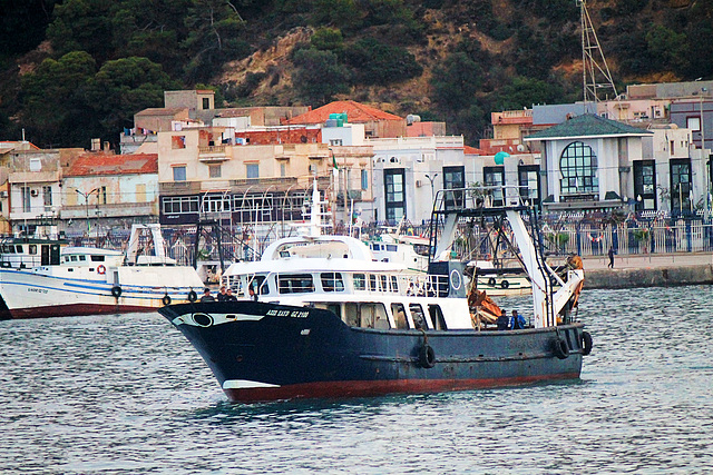 La pêcherie du port de ghazaouet.