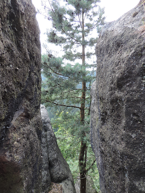 Oberlausitz - Nonnenfelsen