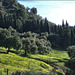 Gaucín
