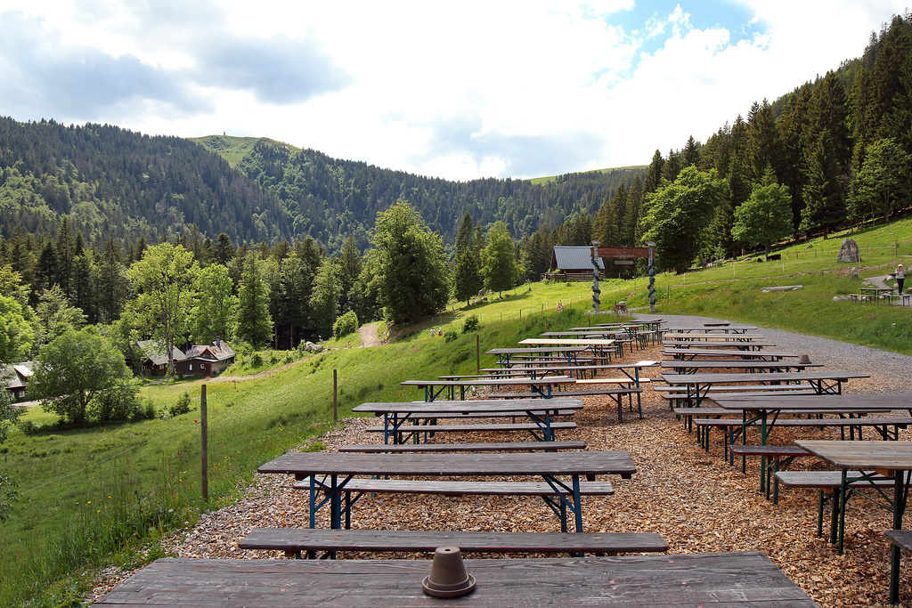 Feldberg - Ausblick vom Raimartihof (1)