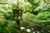 Japanese Garden At The Butchart Gardens