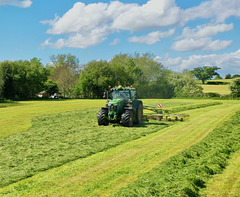 First cut of the year