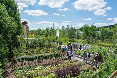 Landesgartenschau Oelsnitz/Erzgeb.