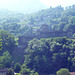 Bellinzona besizt drei Burgen. Zu sehen auf dem Hügel, Castello di Sasso Corbaro, und im Vordergrund Castello di Monte Bello