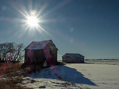 Old barns in late afternoon sun