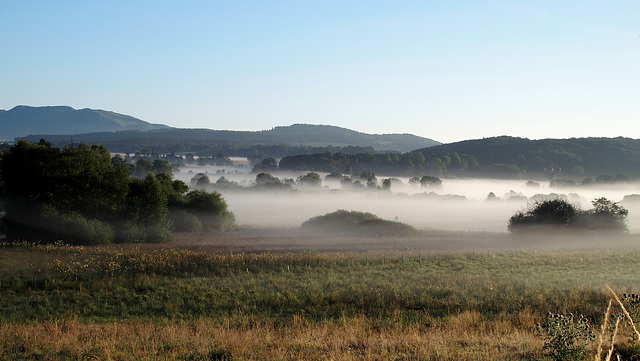 Brume d'été !