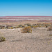 The painted desert12