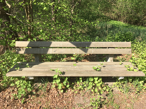 Haltestellenschild wirft Schatten