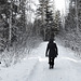 Walking towards the Pinnacles. Quesnel, BC -5C