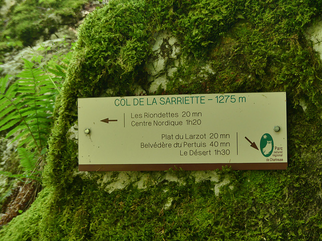 20250701 - 05 Chartreuse St Pierre d'Entremont (105)