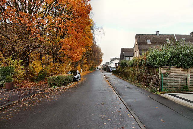 Rosenstraße (Kamen-Heeren-Werve) / 25.11.2017