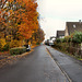 Rosenstraße (Kamen-Heeren-Werve) / 25.11.2017