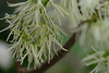 DSCF8591
