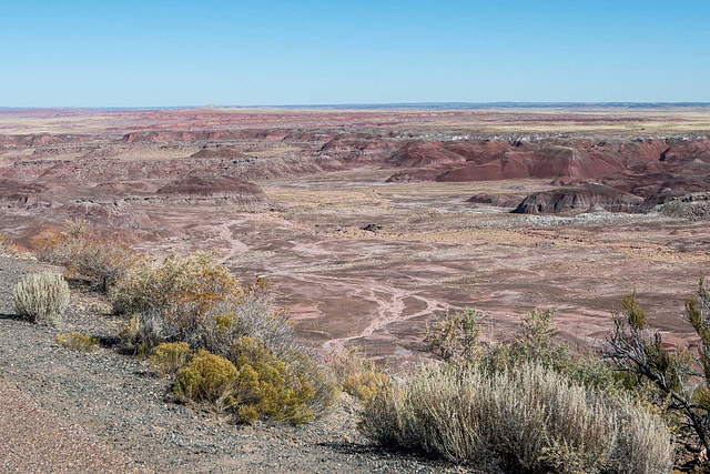 The painted desert13