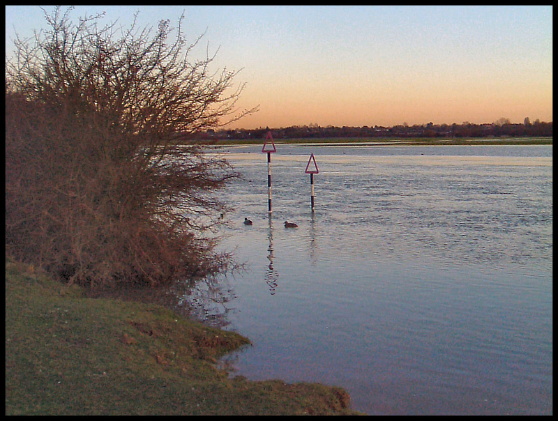 flood markers at sunrise