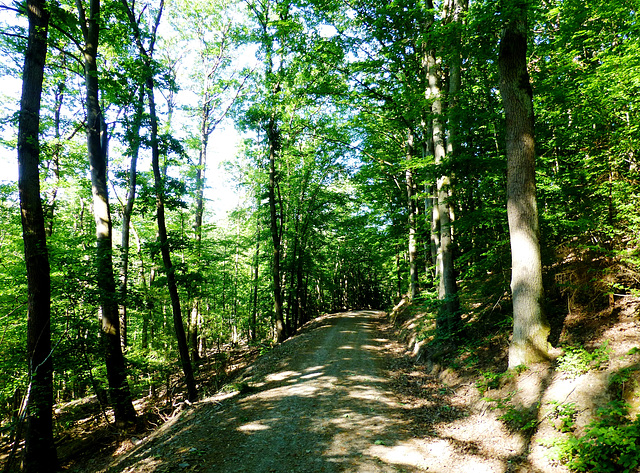 Wanderung rund um Altenahr