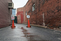 PXL 20250727 201208163-001-Under Surveillance