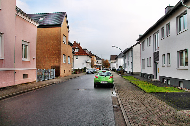 Elsa-Brändström-Straße (Kamen-Heeren-Werve) / 25.11.2017