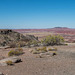 The painted desert14