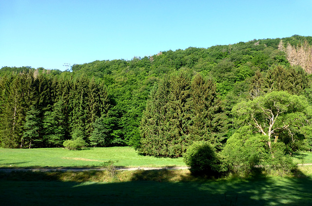 Blick ins Vischeltal