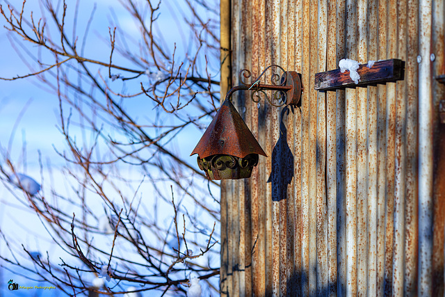 Lamp at the old shed