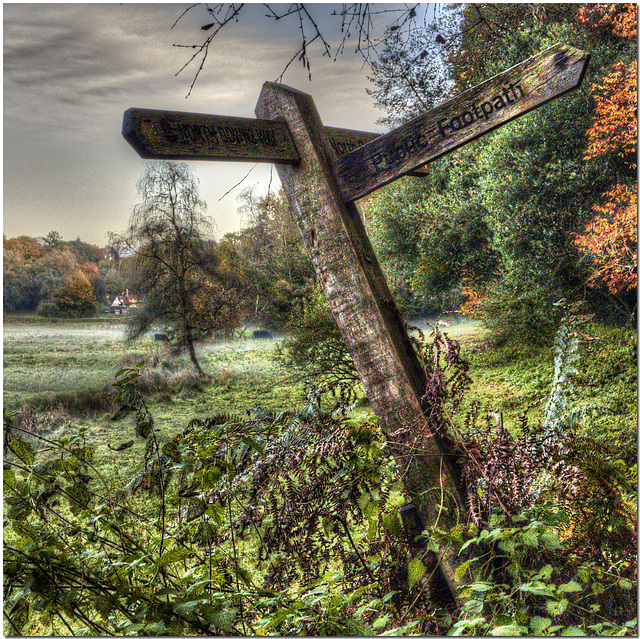 Crooked Signpost