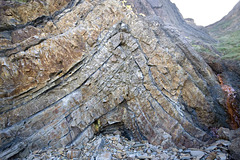 Northcott Mouth anticline - detail