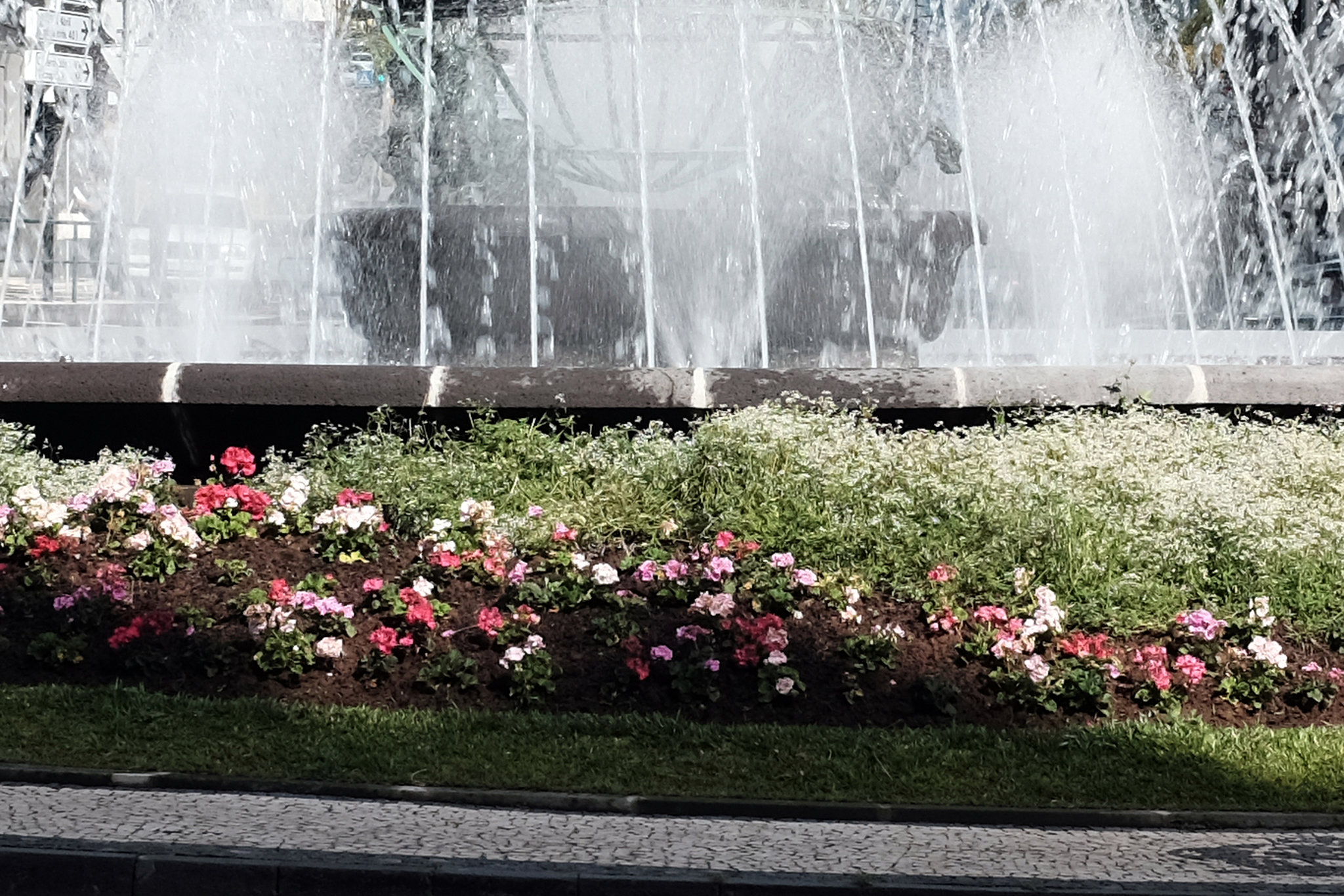 Madeira Funchal May 2016 X100T vs XPro2 toy 4 crop