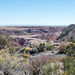 The painted desert15