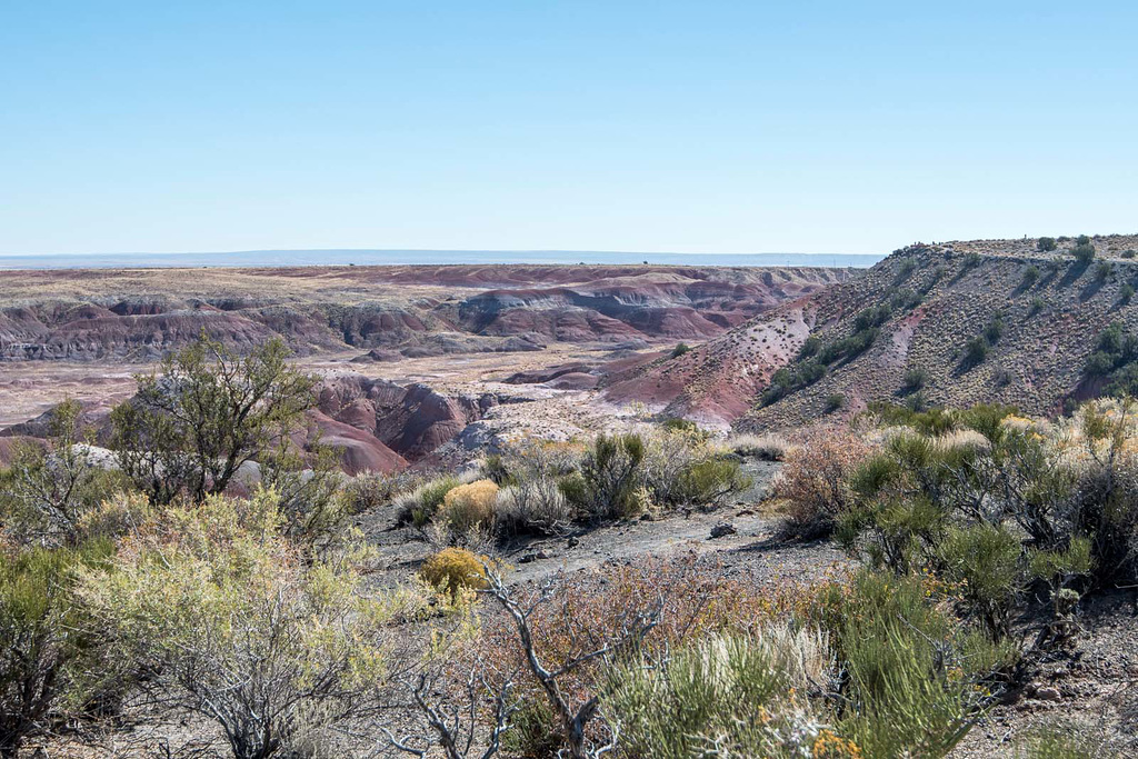 The painted desert15