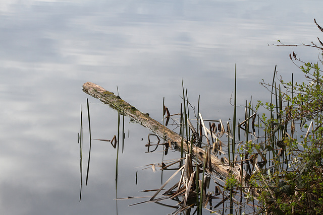 Anderson Lake