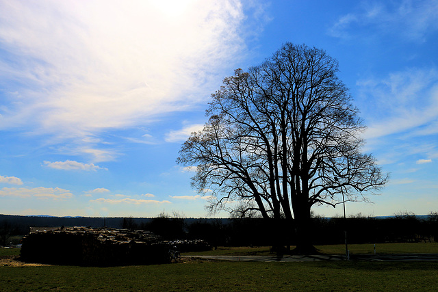 Scherenschnittbaum