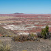 The painted desert16