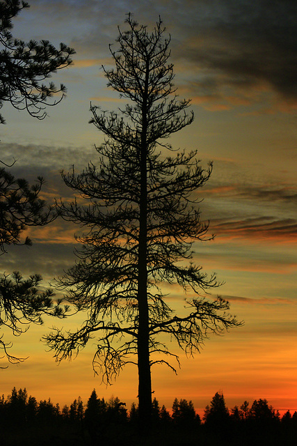 Eastern Washington Sunset