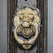 Lion door knocker