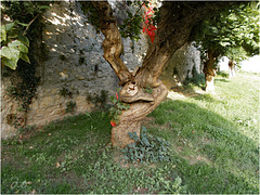 arbre sympa 7