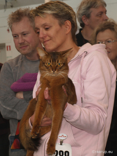 World Winner - Catika's Carlos Cayetano Dushara