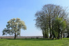 Pastoral