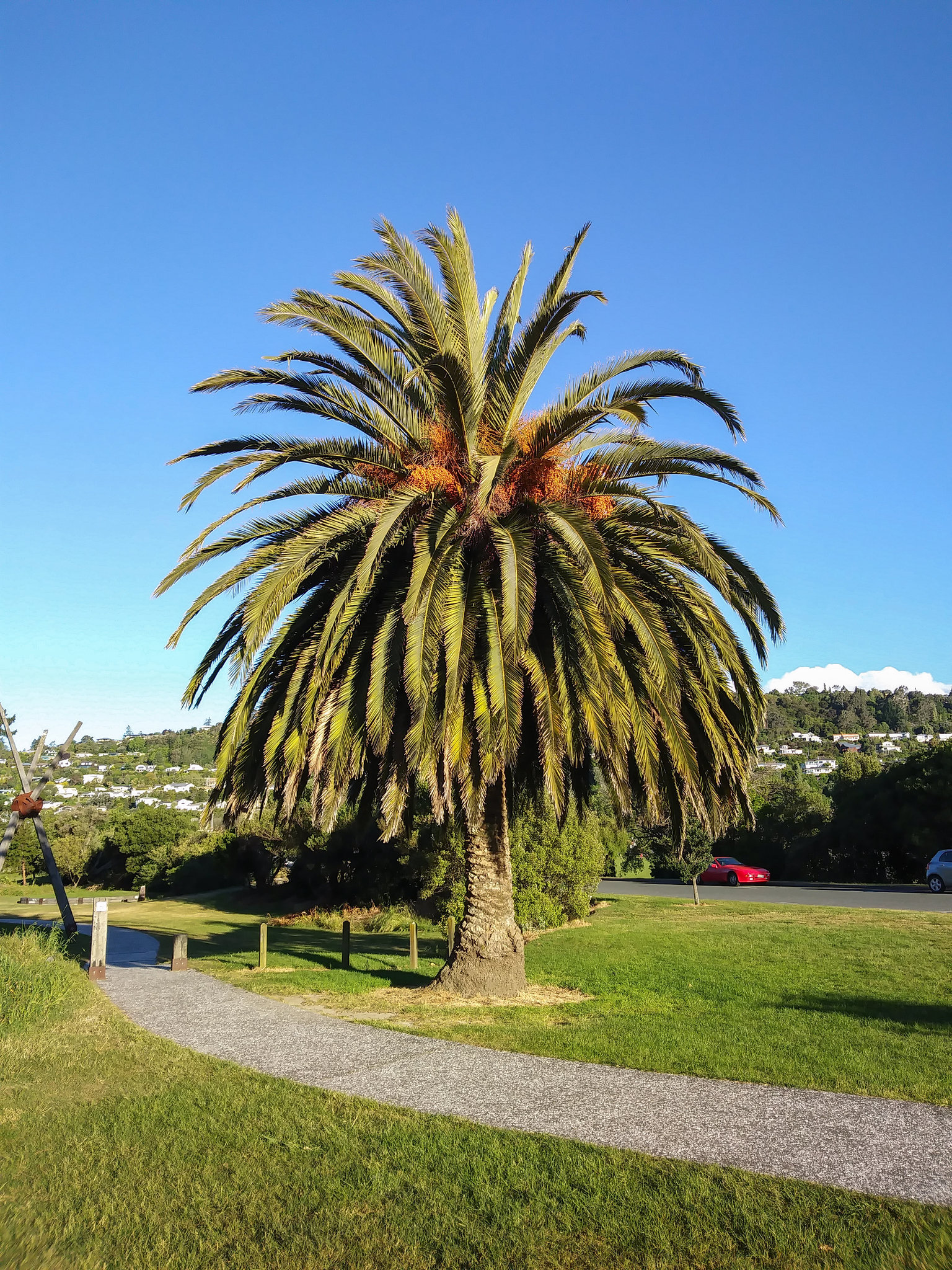 Neuseeland - Nelson