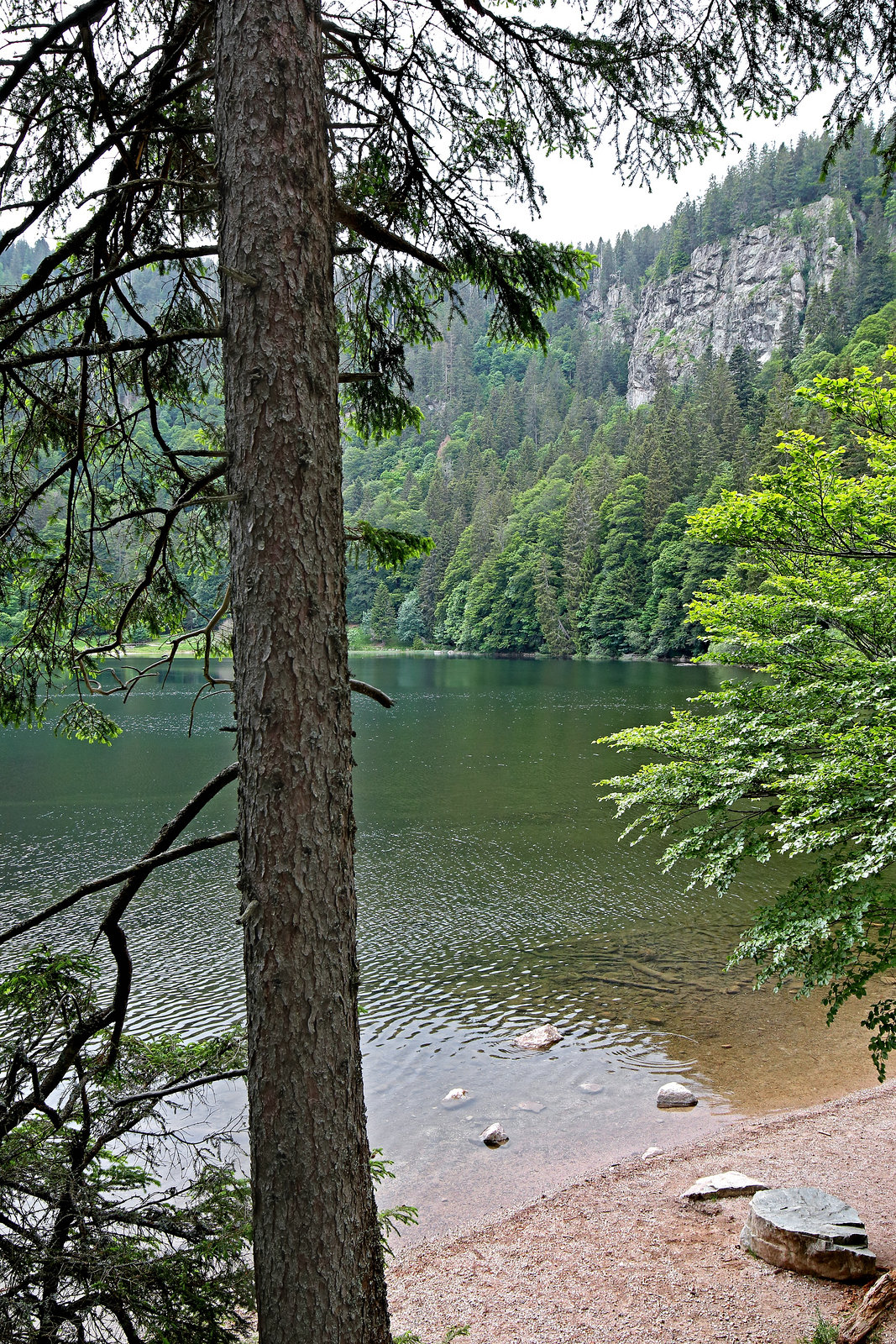 Feldberg - Der Feldsee (3)