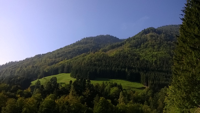 Hauergraben , wo im Mai die Narzissenwiesen blühen