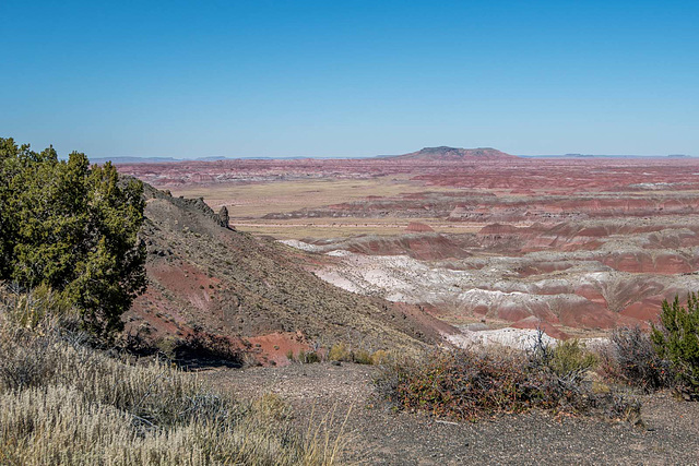 The painted desert17