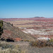 The painted desert17