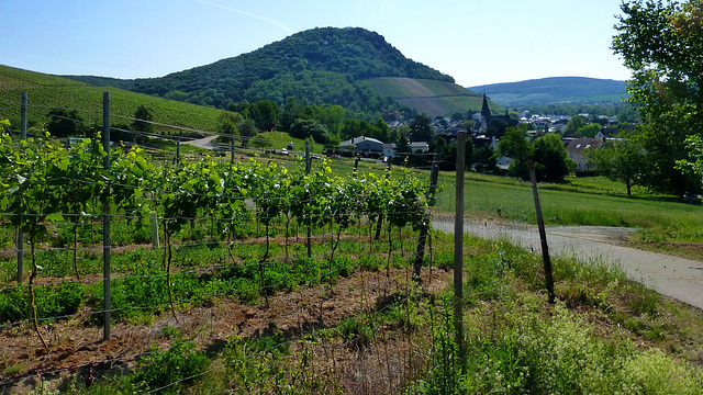 Blick zur Landskrone