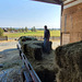 Haytime