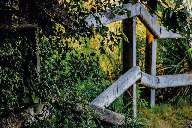 A Fence for Friday