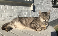 1er bain de soleil de l'année