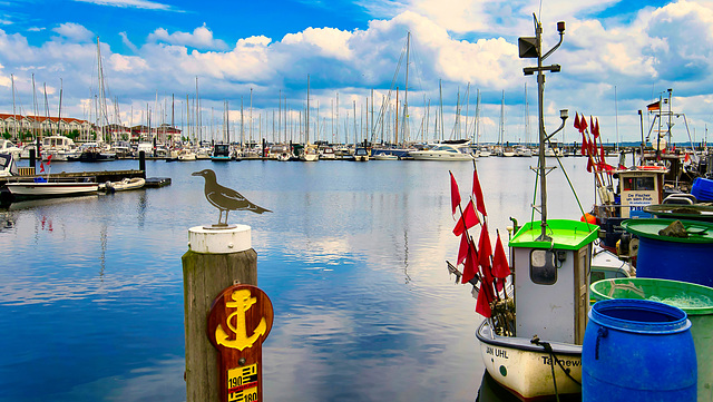 Fischereihafen Boltenhagen