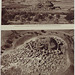 LA SARDAIGNE