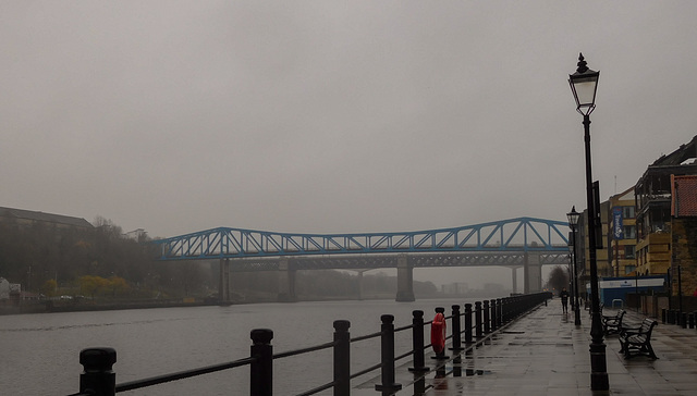 Newcastle Tyne bridges (#1193)